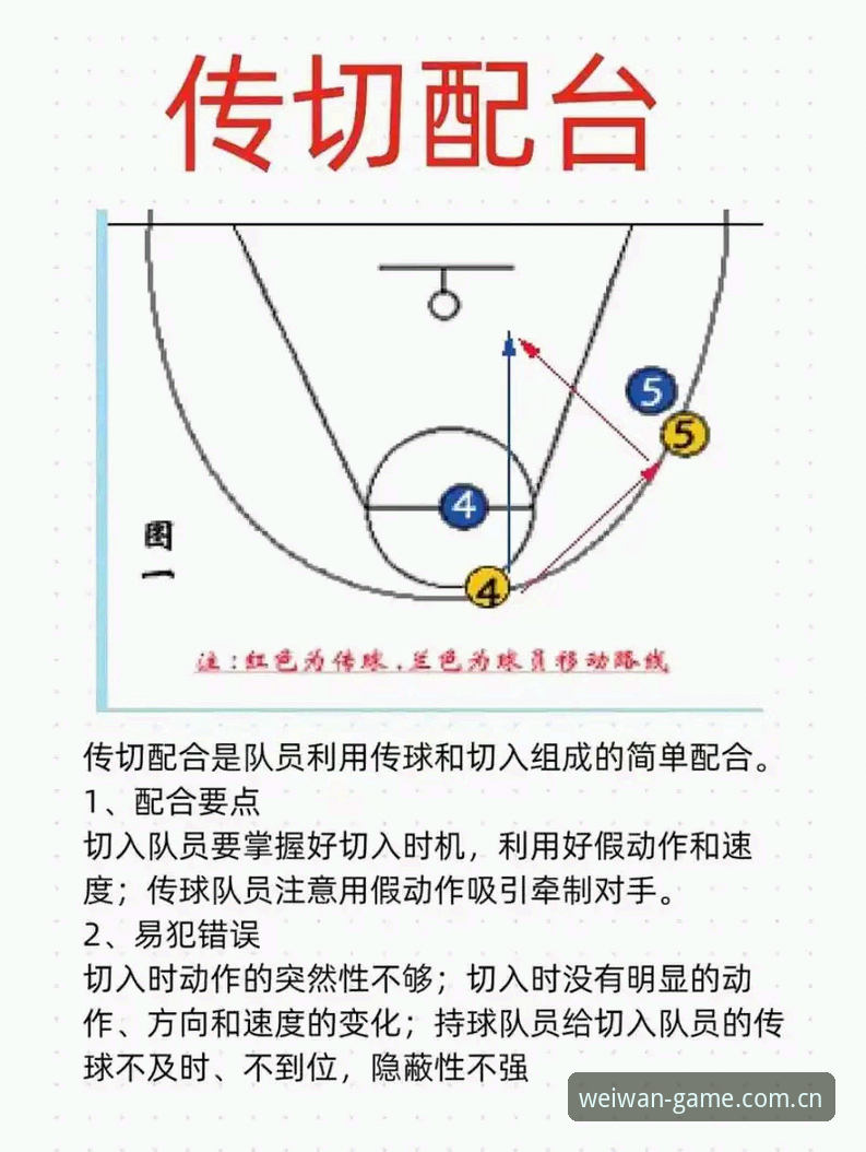 微玩体育使用教程 新手vs老手:微玩体育使用教程深度对比分析,哪套方案更适合你?